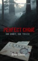 Perfect Crime Cover