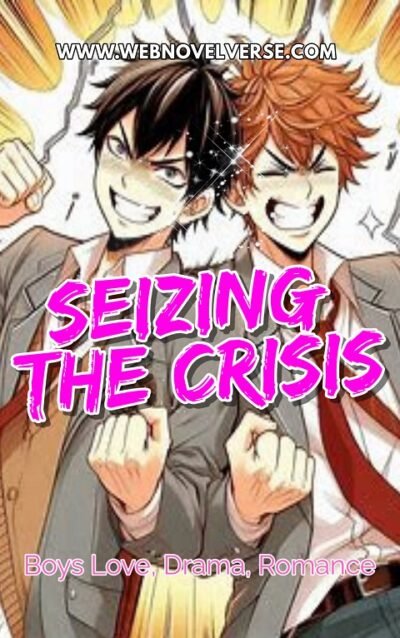 Seizing the crisis Cover
